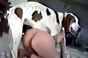 free dog beasteality videos movies