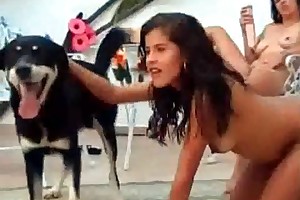 male having sex with animals free porn