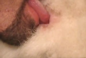The pussy of this animal is eaten out by a horny fellow