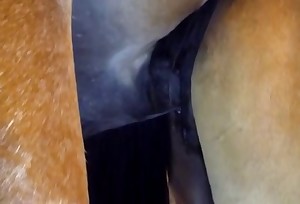 Pair of insatiable horses are fucking hard from behind