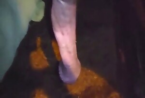 Horse penis to get jerked off in a POV scene