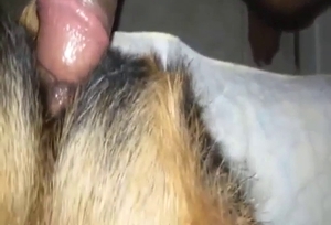 Guy is going to fuck that dog pussy with lust