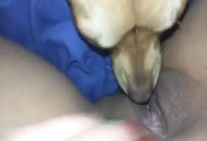 Zoophile lady gets licked thoroughly by a dog
