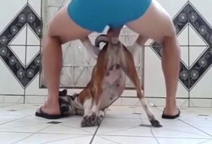 Zoo porn with awkward camera angles, hot sex