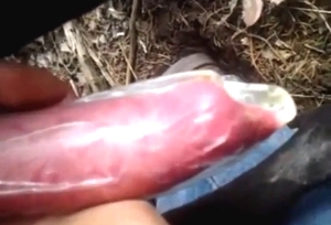 Zoo sex in a condom with a sexed-up black dog