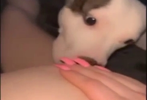 Zoophile is going to get licked by a sexy beast