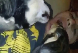 Bestiality sex scene with a dog that looks hot AF
