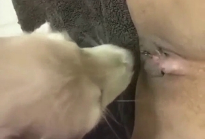 Sexy animal practicing its oral skills on camera