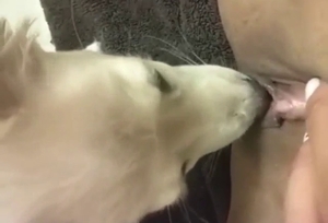 Sexy animal practicing its oral skills on camera
